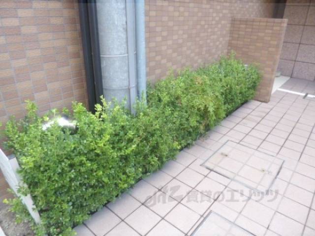 植栽