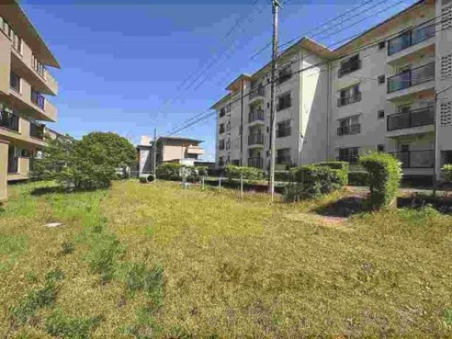 共用広場