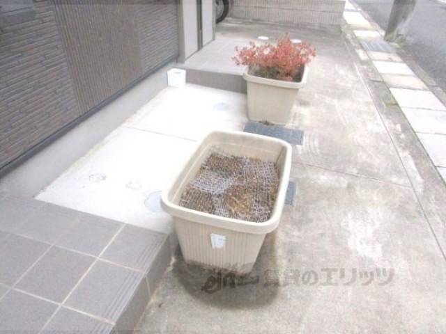 植栽