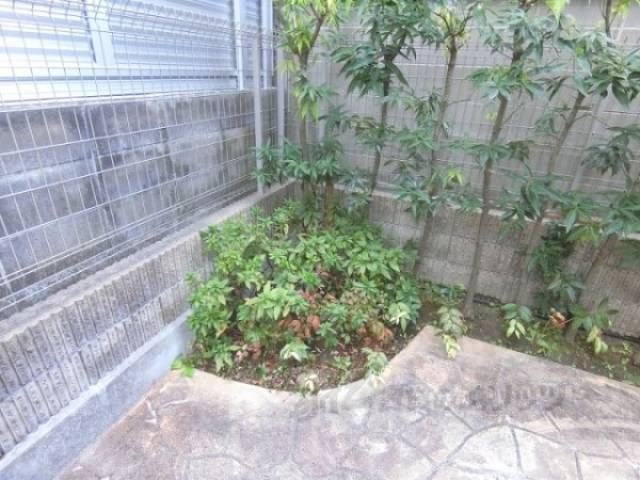 植栽