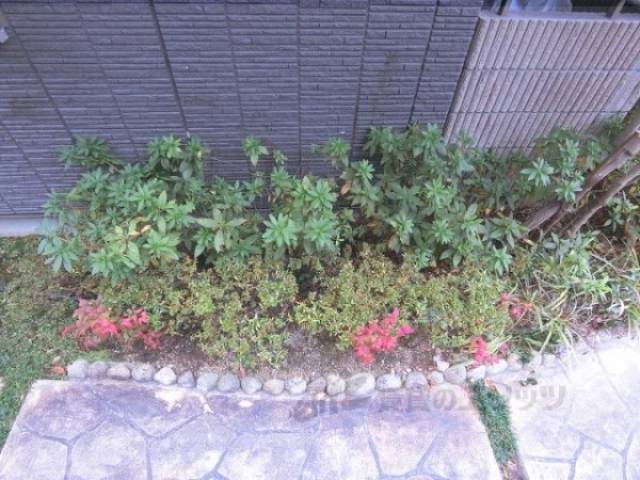 植栽