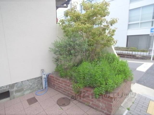 植栽