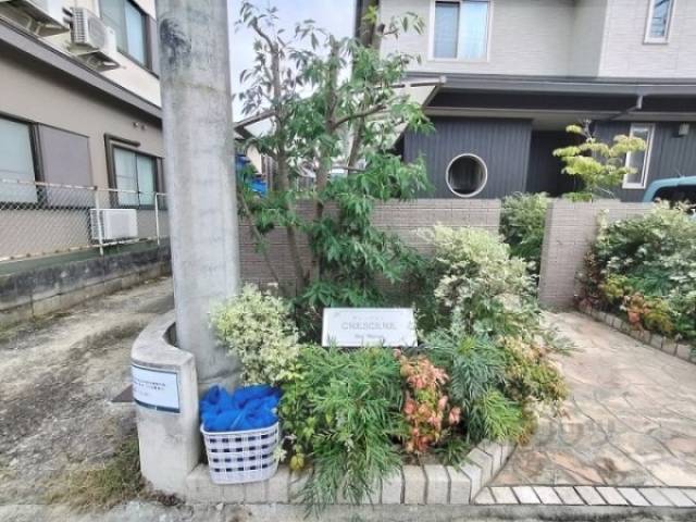 植栽