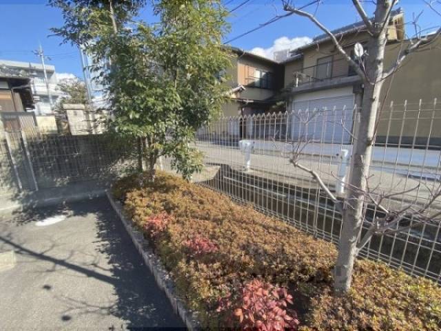 植栽