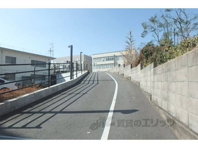 駐車場までの道