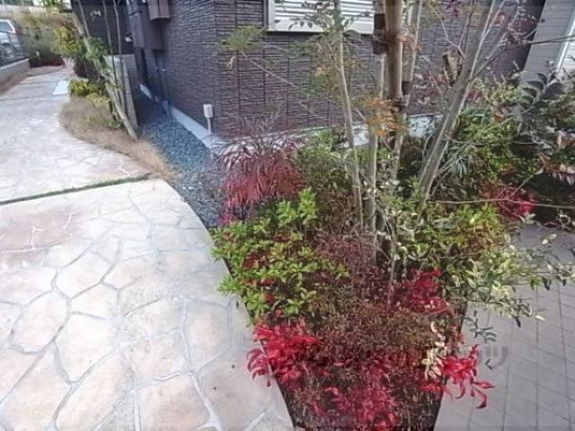 植栽