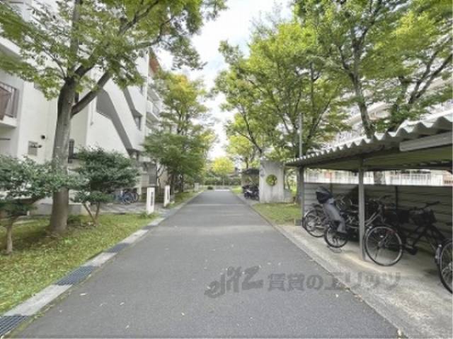 通路