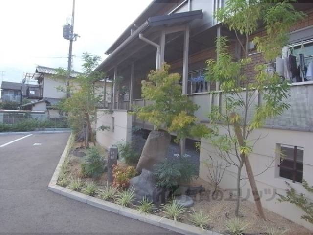 植栽