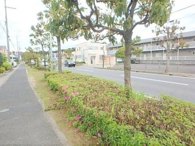 前面道路