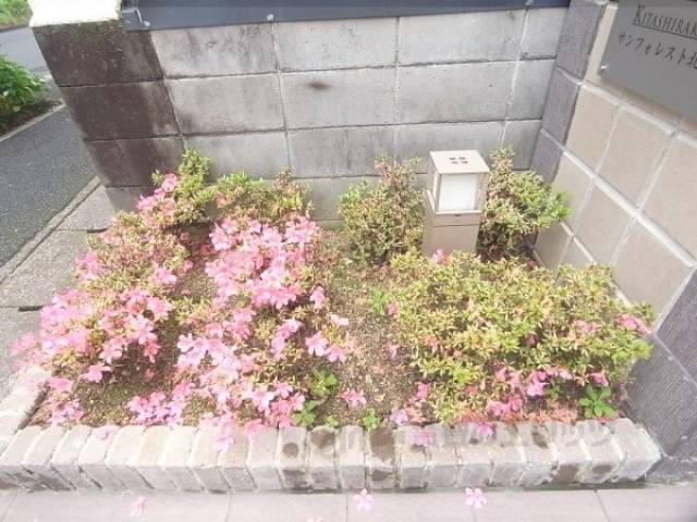 植栽