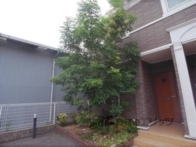 植栽