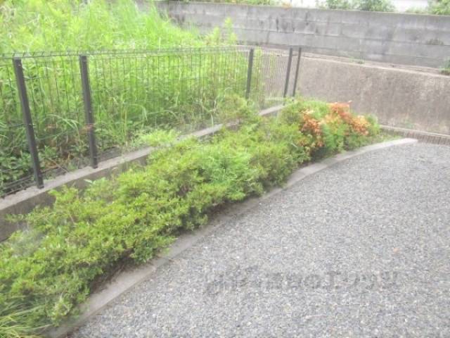 植栽