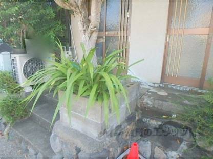 植栽