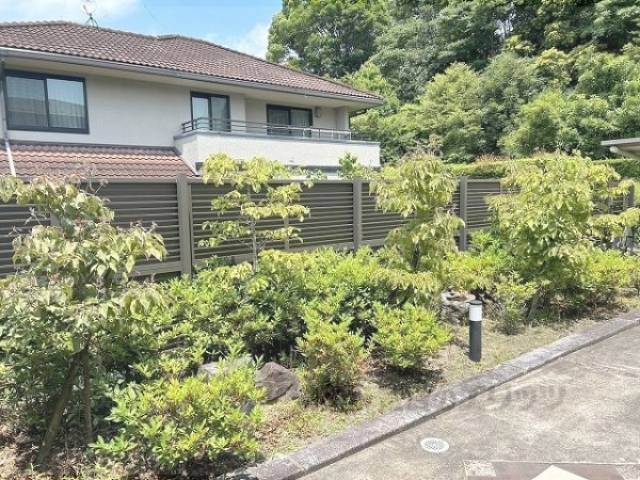 植栽