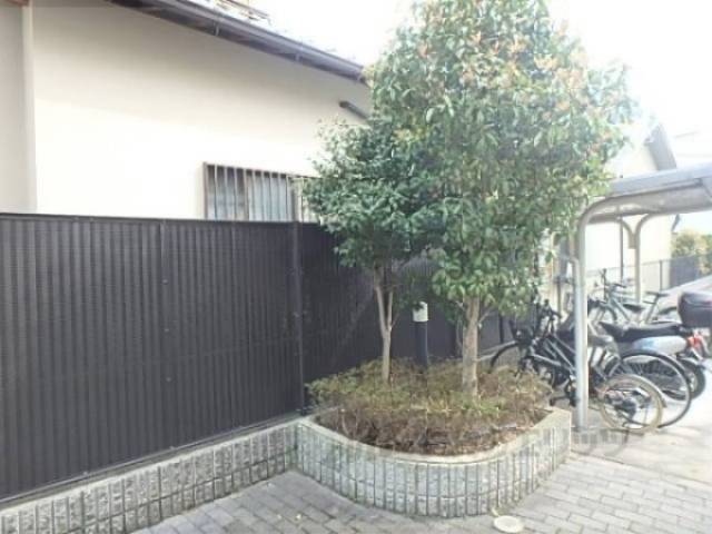 植栽