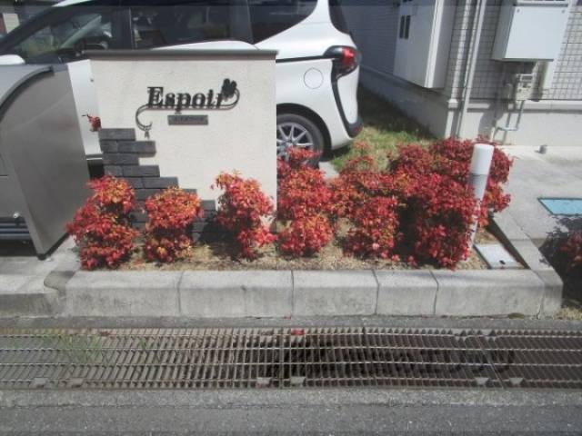 植栽