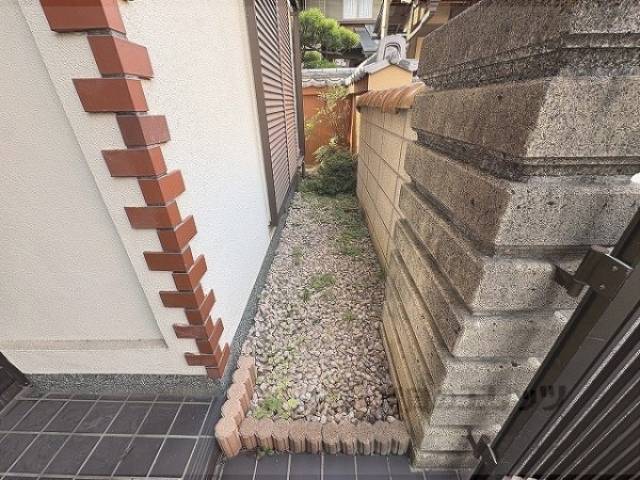 植栽