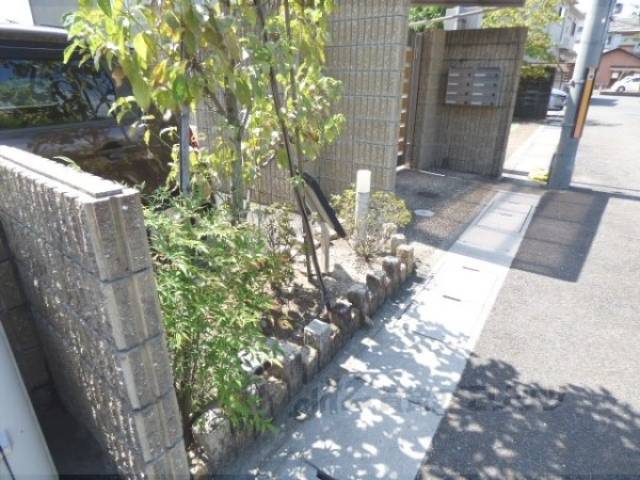植栽