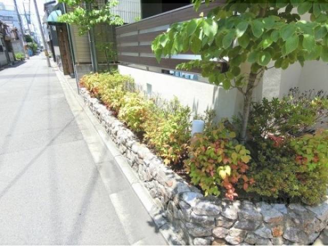 植栽