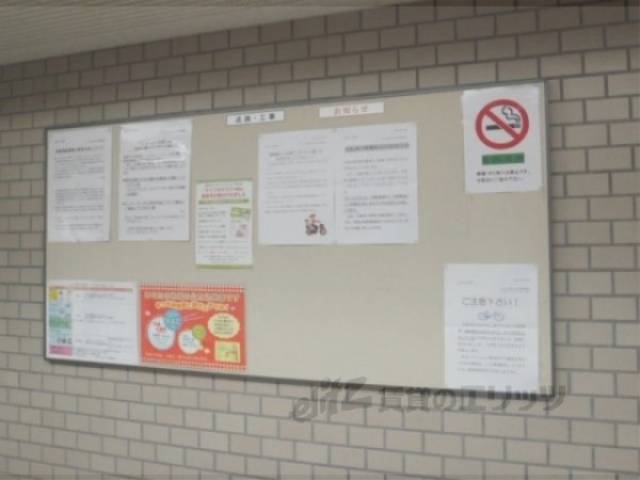 掲示板