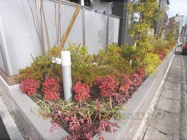 植栽