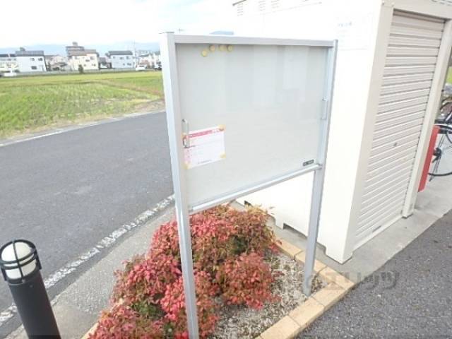 掲示板