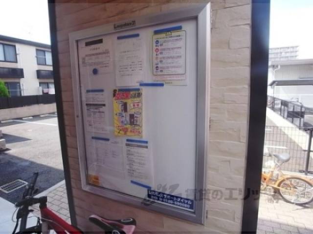 掲示板