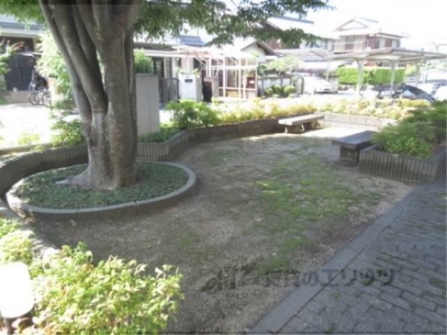 公園