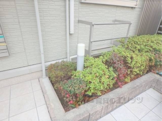植栽