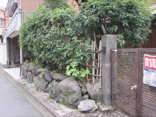 植栽