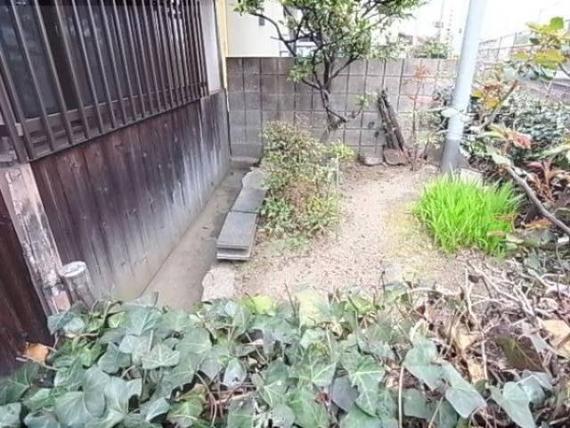植栽