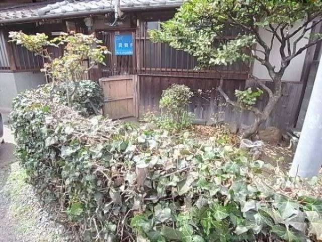 植栽