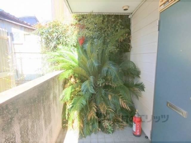 植栽
