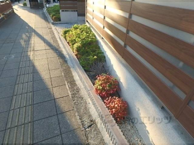 植栽