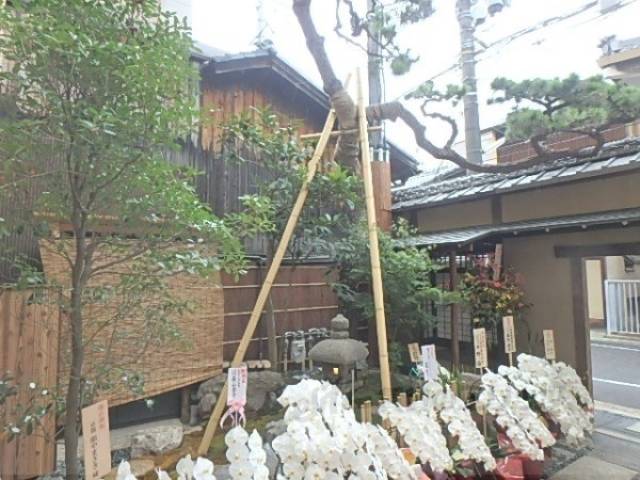 植栽