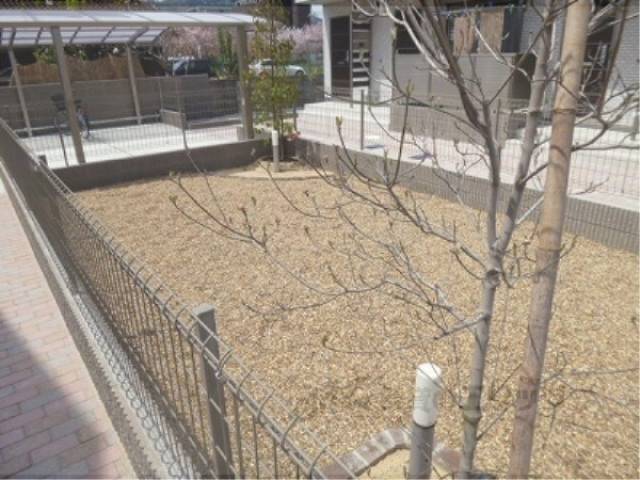 ドッグラン