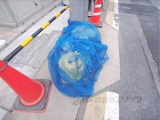 ゴミ捨て場