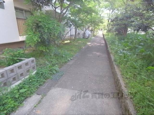 通路