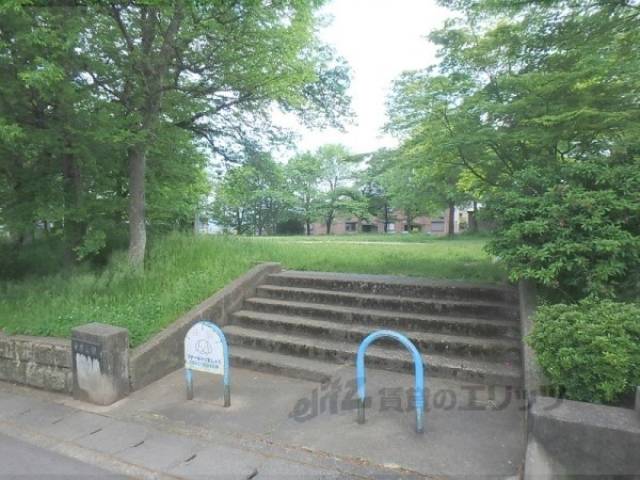 近隣公園