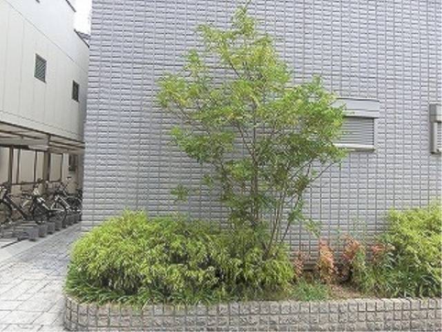 植栽