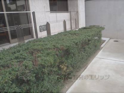 植栽