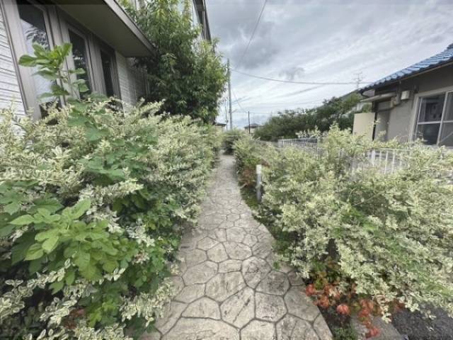通路