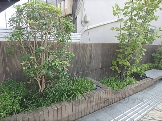植栽