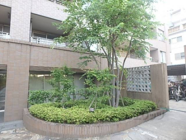 植栽