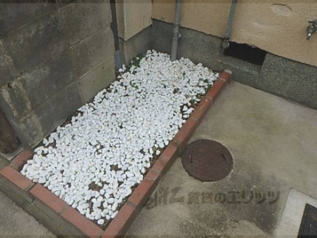 植栽　スペース