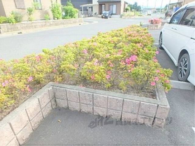植栽