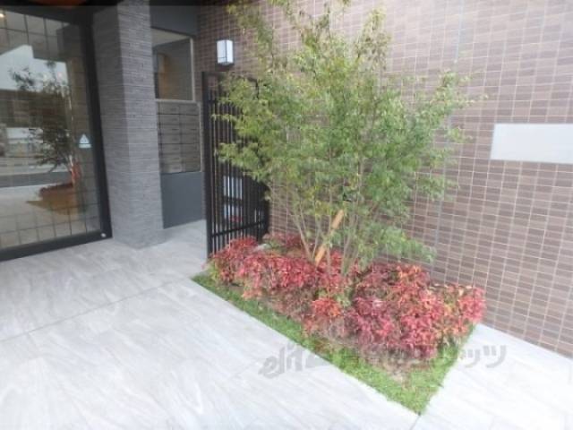 植栽