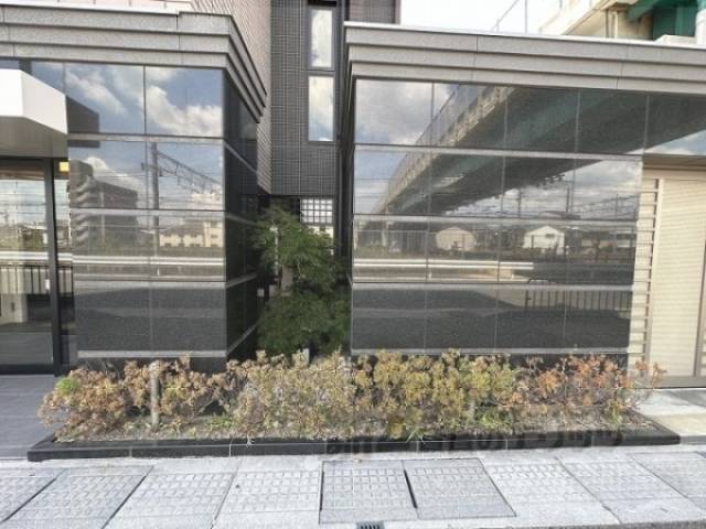 植栽