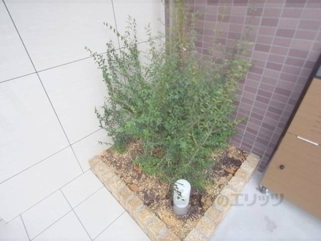 植栽