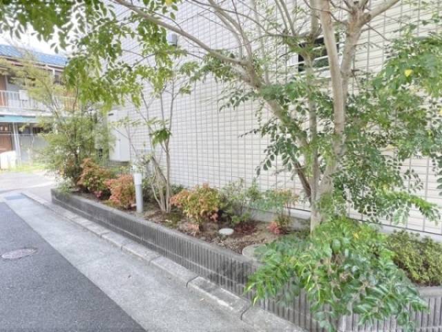 植栽